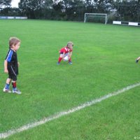 10_minipups_training